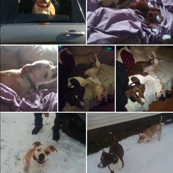 Meet your Posher, Mary - Picture 10 of 16